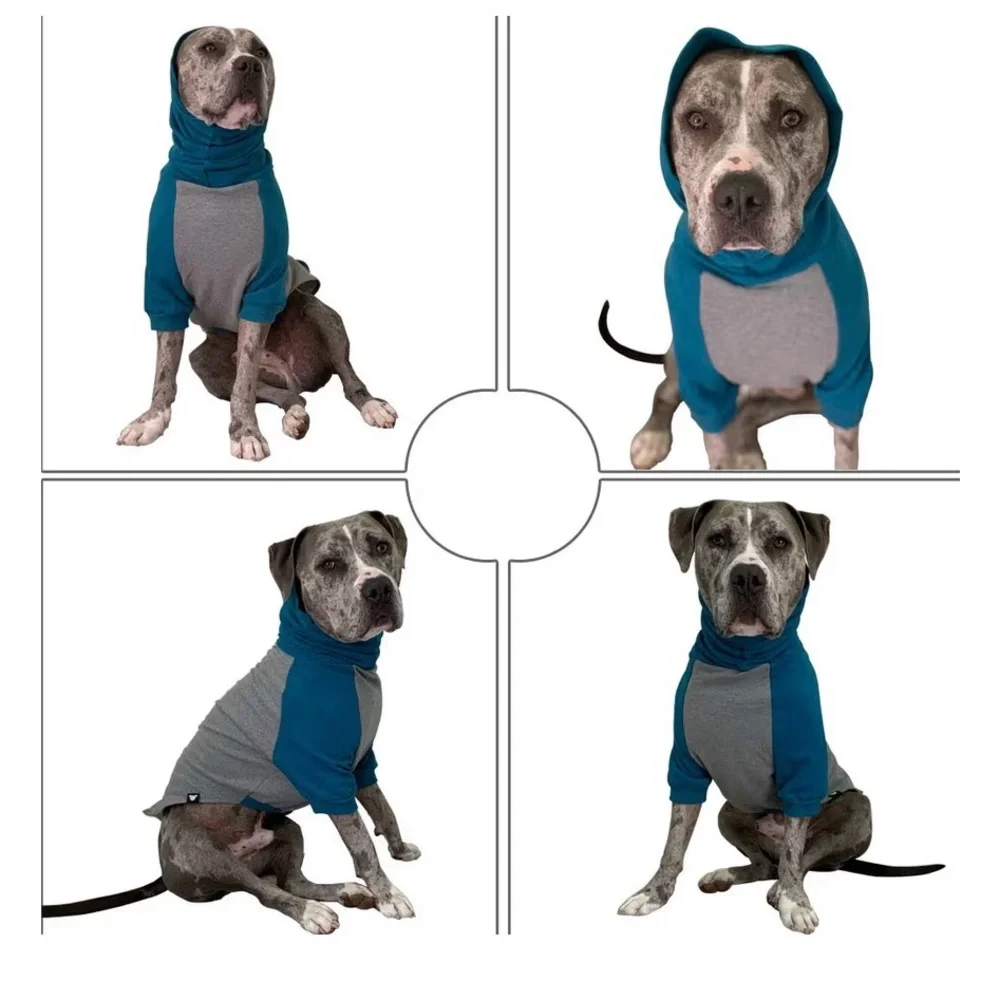 Blue and Gray Dog Hoodie